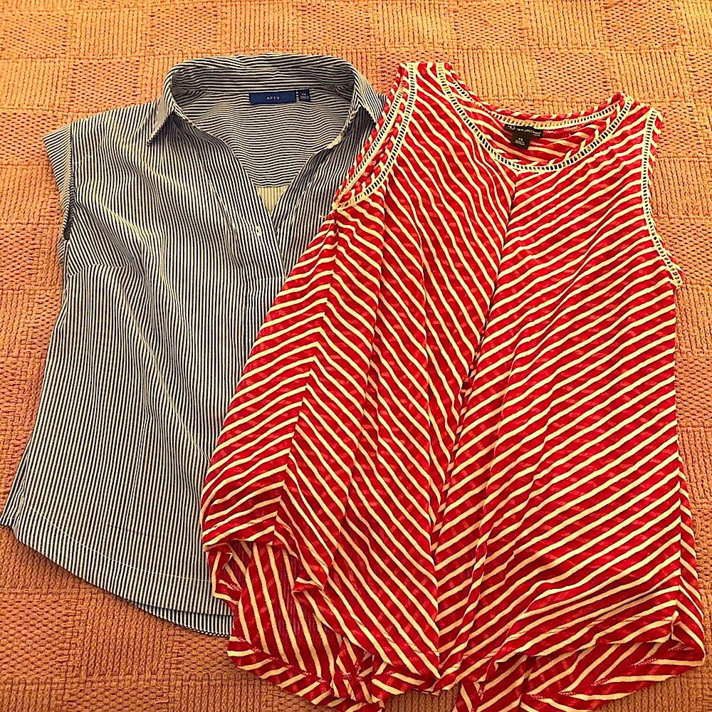Petite Small Blouse Bundle